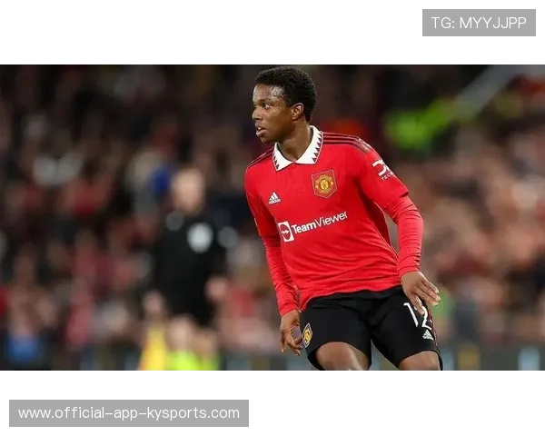 曼联冬窗或引进一名经验型中锋缓解压力，曼联 冬窗