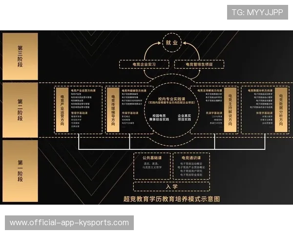 电竞行业的教育路径规划标准实施探讨